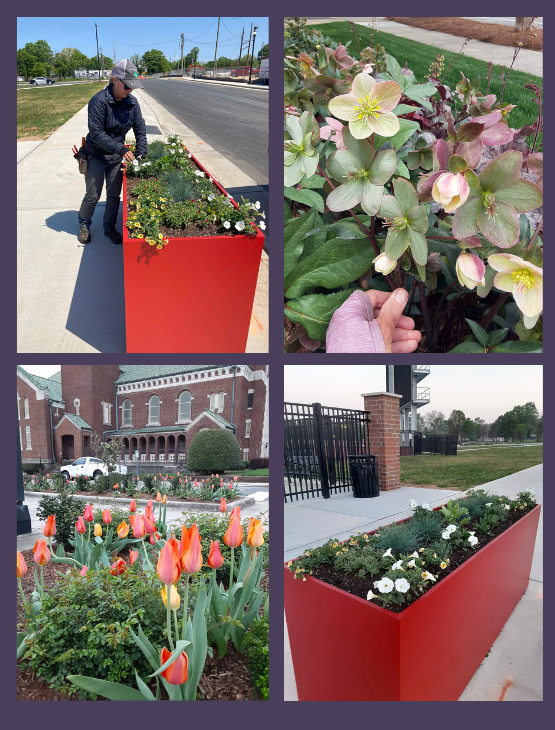 Horticulture   FUSE and more