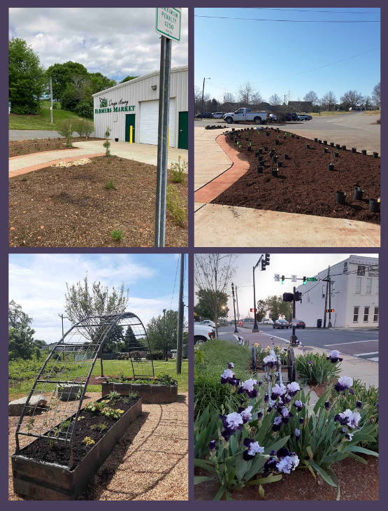 Horticulture   Farmers Market