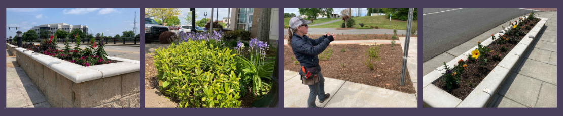 Horticulture   Final panel