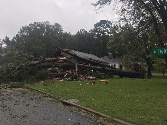 Jackson and 8th tree on house