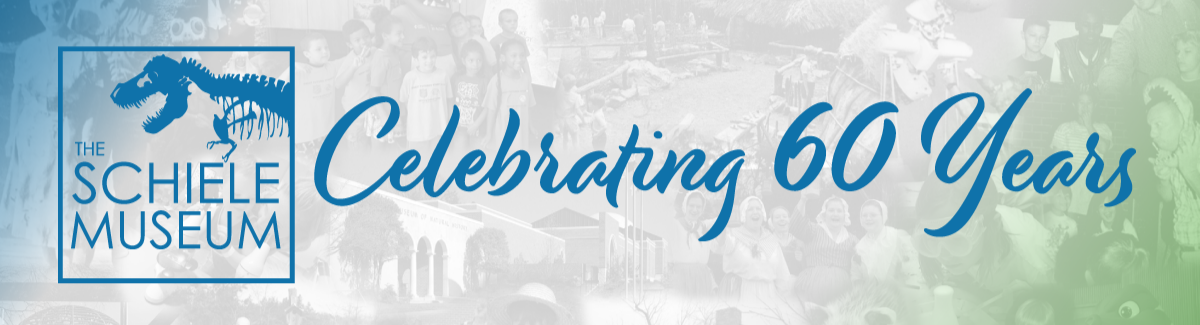 Schiele 60 banner