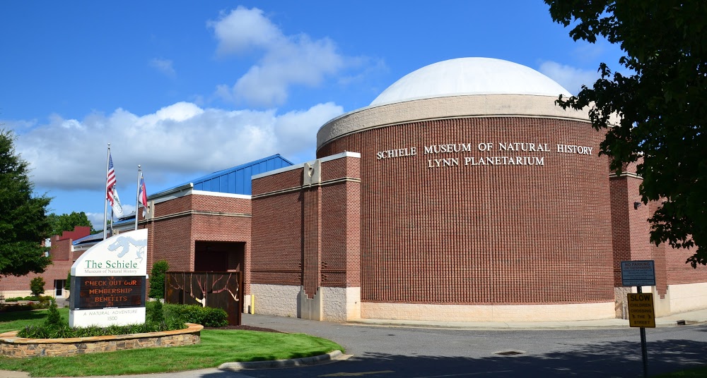 schiele museum Front