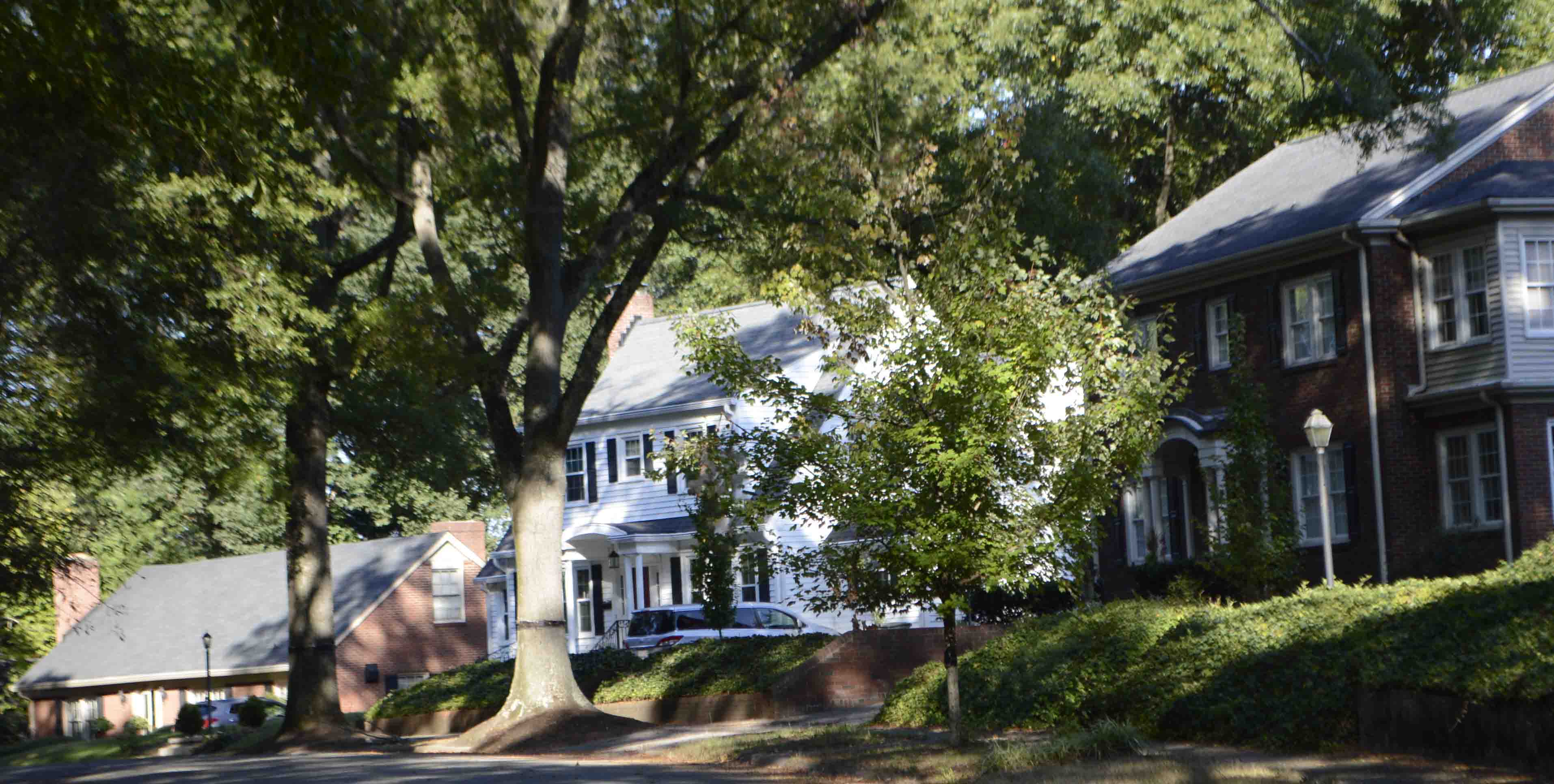 Brookwood streetscape 002
