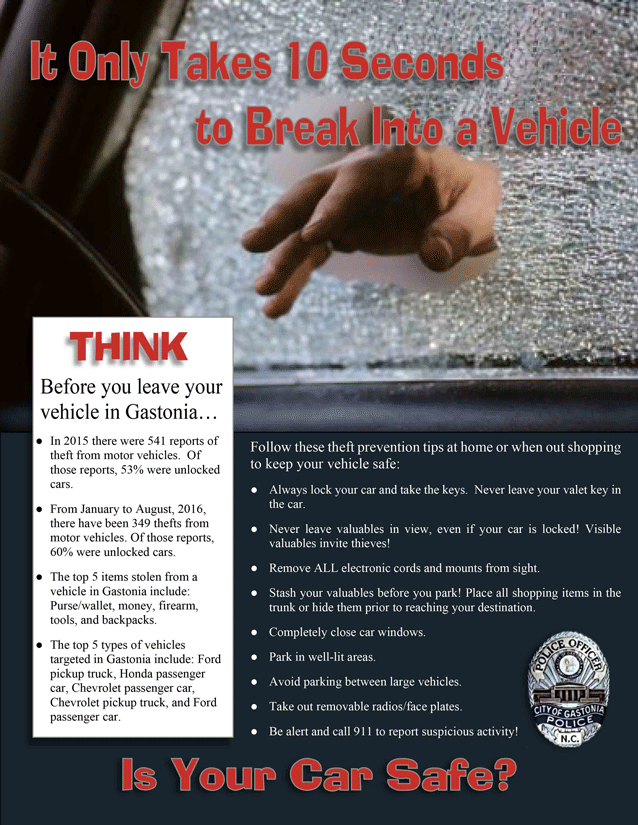 theft-from-mv-flyer-2