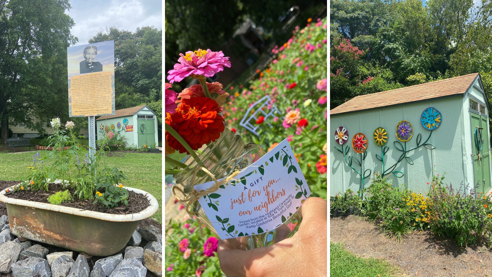 frame with 3 pictures of our community garden space: sign, flowers and shed